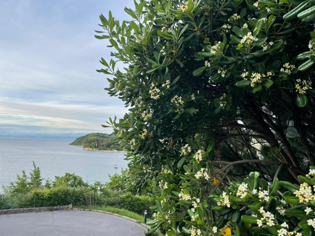 Yadranka With Sea View Terrace * Strunjan