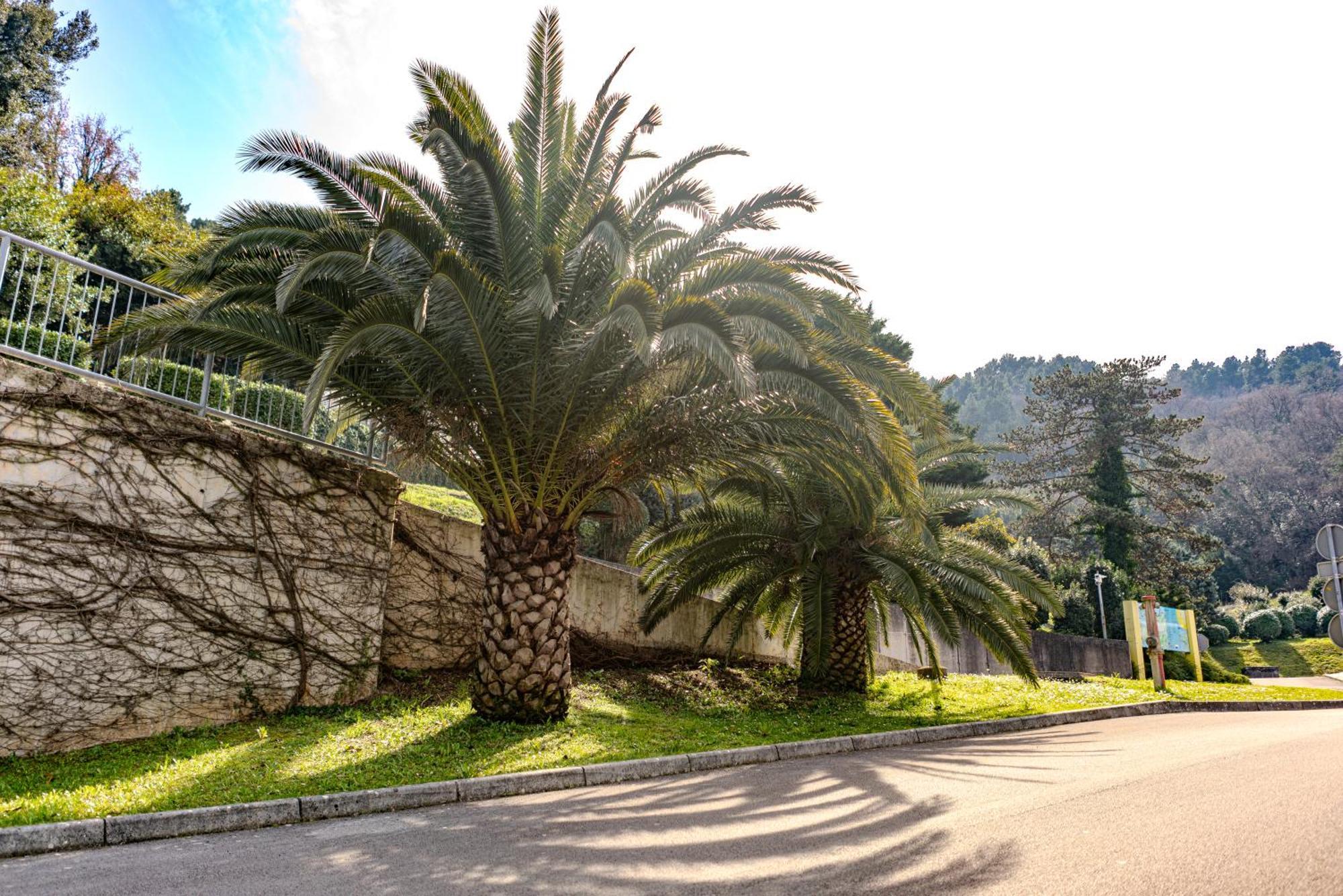 Yadranka With Sea View Terrace Strunjan